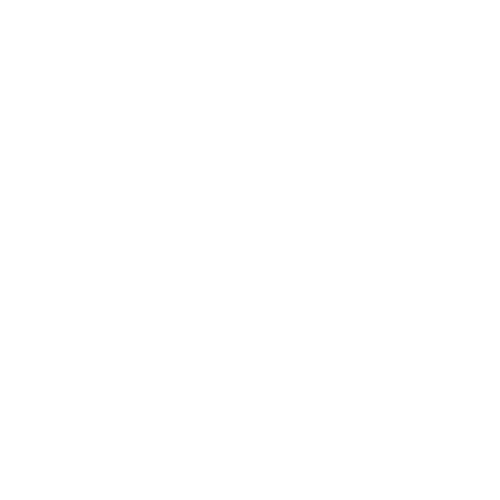 Remote Support